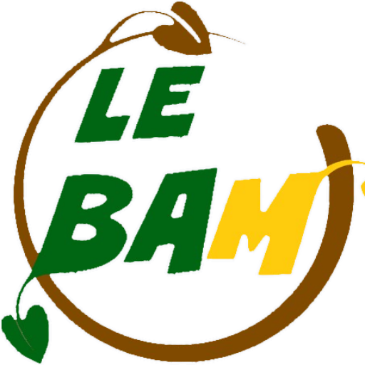 lebam2.2
