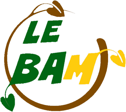 LE BAM qui sommes-nous?
